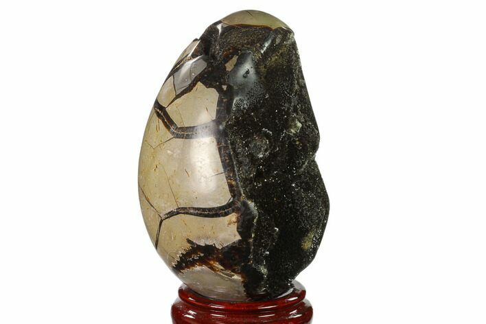 Septarian Dragon Egg Geode - Black Crystals #137955